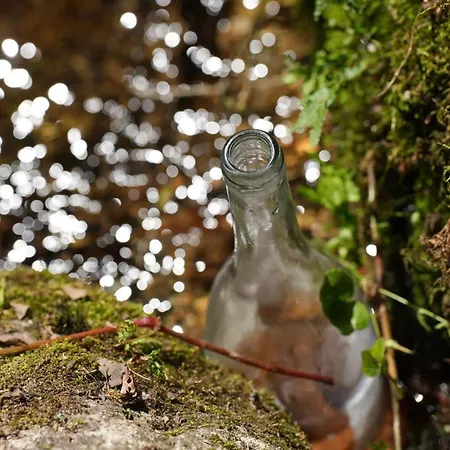 La Forge D'espy Illier-et-Laramade