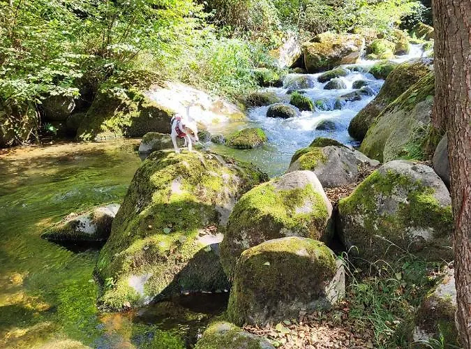 La Forge D'espy Hébergement de vacances *