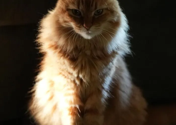 Casa de Férias La Forge D'espy