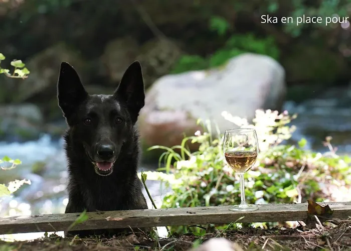 La Forge D'espy Casa de Férias